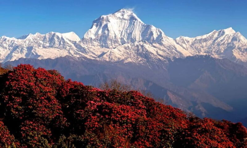 Pokhara: 3-Day Ghorephani and Poon Hill Private Trek - FAQ
