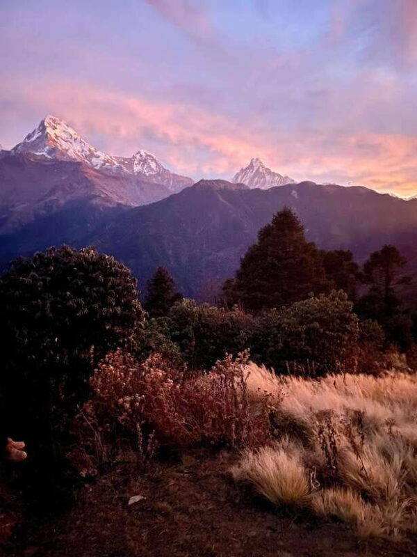 Pokhara: 3-Day Poon Hill Trek with Sunrise View - The Transport and Logistics