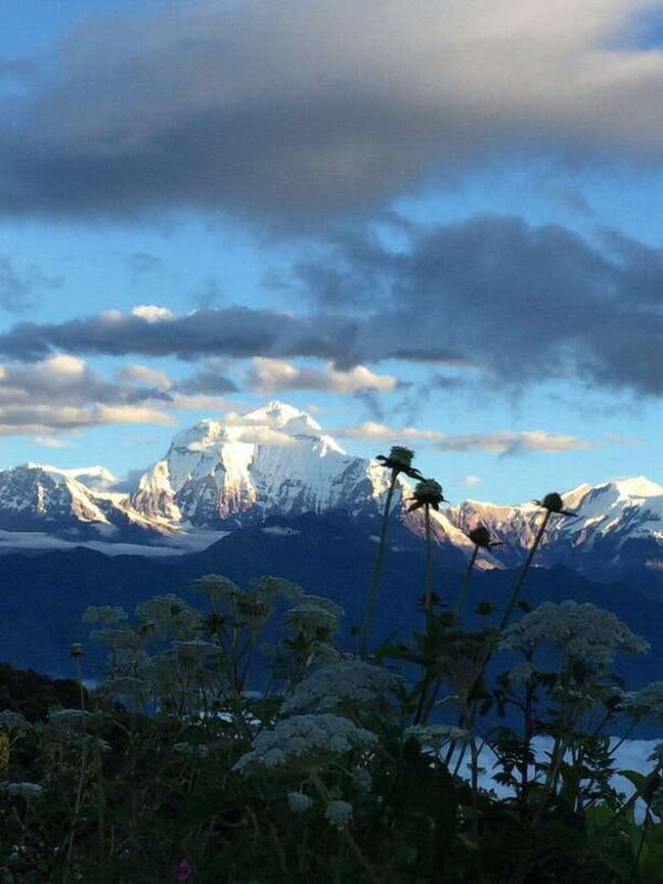 Pokhara: 3 days Trek to Poon hill - Detailed Day-by-Day Breakdown