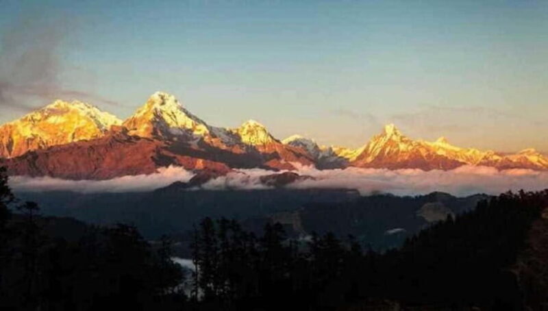 Pokhara: 3 days Trek to Poon hill - Accommodation and Meals