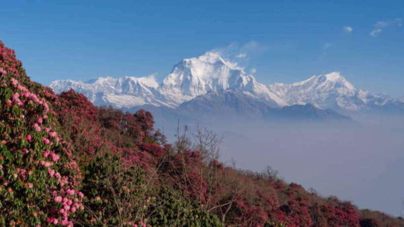 Pokhara: 3-Days Trekking to Poon Hill - FAQ