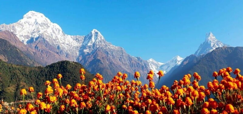 Pokhara: 4-Day Ghorepani, Poonhill & Ghandruk Mountain Trek - Pricing and What It Gets You