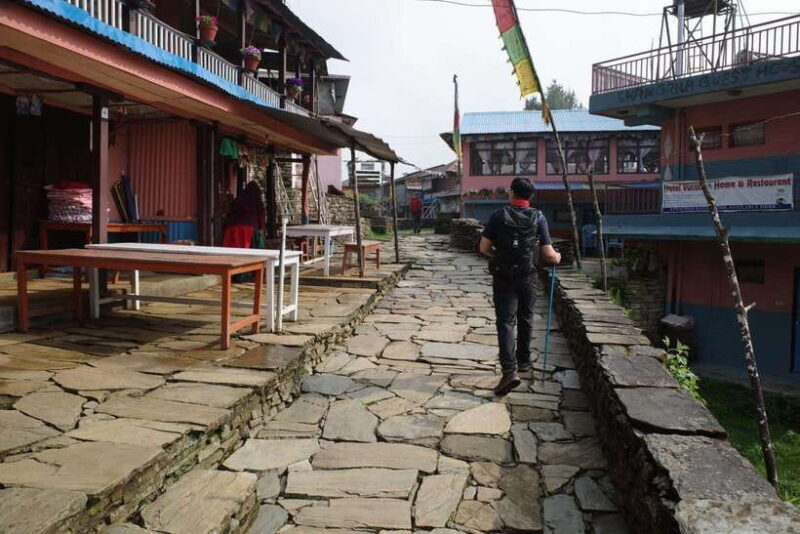 Pokhara: 4-Day Mardi Himal Base Camp Trek with Transfers - Key Points