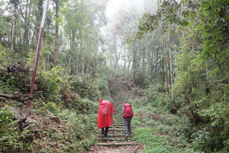 Pokhara: 4-Day Mardi Himal Base Camp Trek with Transfers - Authentic Experiences and Traveler Insights