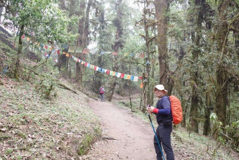 Pokhara: 4-Day Mardi Himal Base Camp Trek with Transfers - FAQ