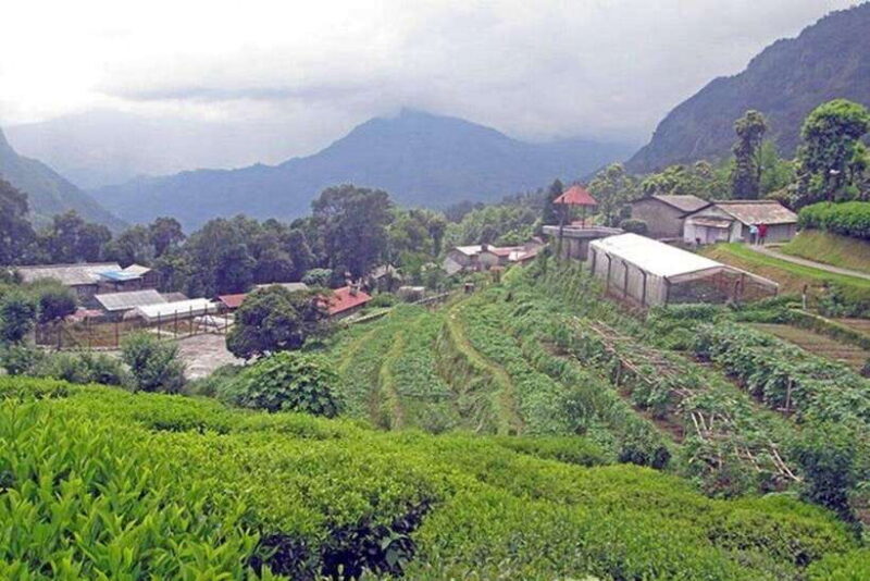 Pokhara: 4-Day Mardi Trek with Guide & Accommodation - Breaking Down the Itinerary: From Pokhara to Mardi Himal