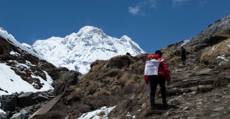 Pokhara: 5-Day Annapurna Base Camp Private Trekking Tour - Scenic Highlights