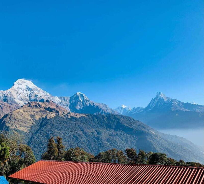 Pokhara: 5-Day Annapurna Poon Hill Trek and Chitwan Tour - The Itinerary in Depth: What to Expect Each Day
