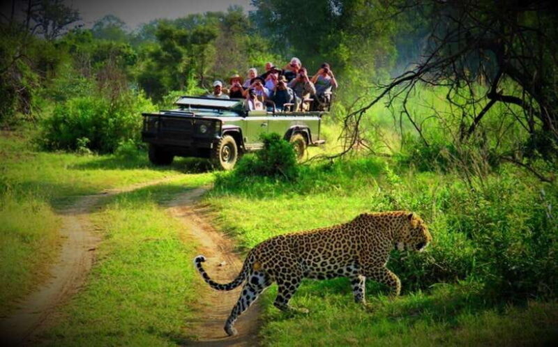 Pokhara: 5-Day Chitwan Wildlife & Lumbini Pilgrimage Tour - Discovering Lumbini: A Sacred Peace  