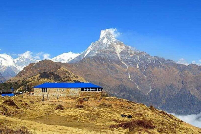Pokhara: 5-Day Mardi Himal Trek with Guide - The Sum Up