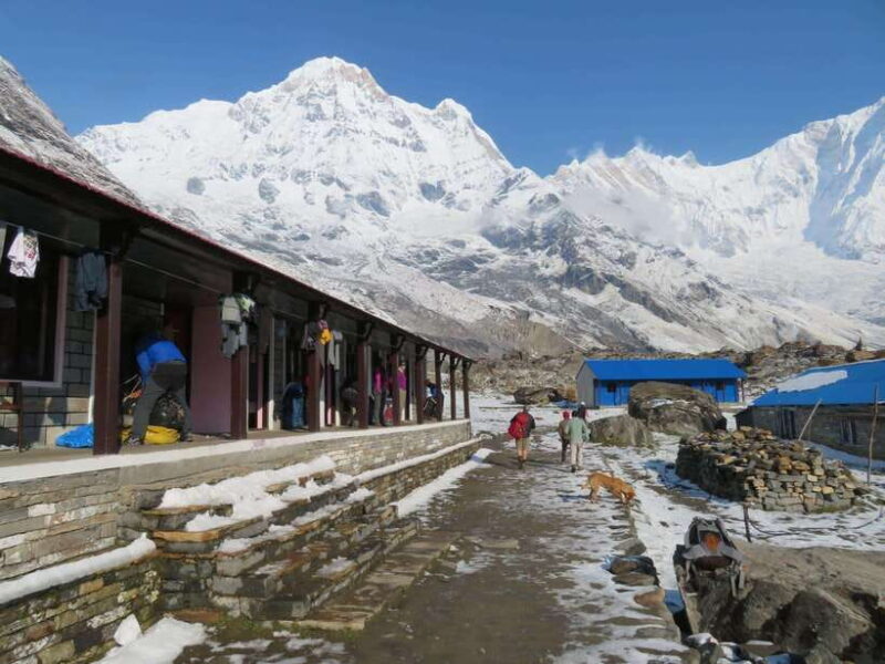 Pokhara: 5-Days Annapurna Base Camp Trek Guided Adventure - The Trek in Detail: What You Can Expect