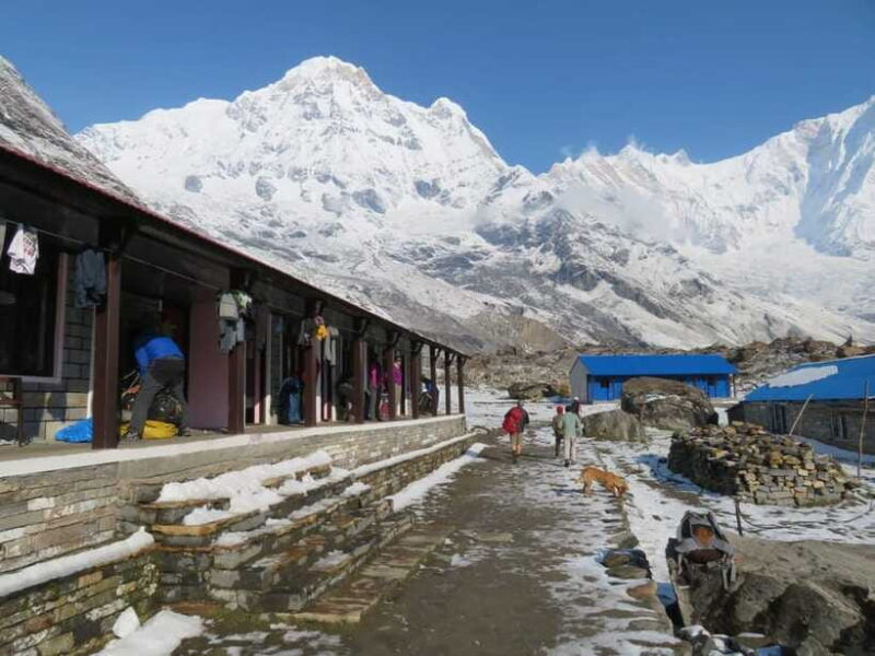 Pokhara: 5-Days Annapurna Base Camp Trek Guided Adventure - Who Will Love This Tour?  