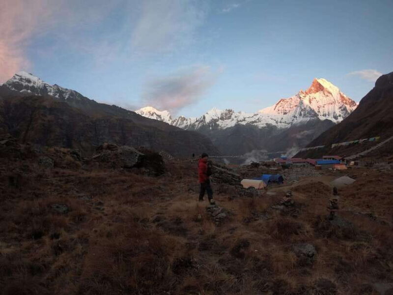 Pokhara: 7-Day Annapurna Base Camp & Jhinu Hot Springs Trek - Day 5: Descent to Bamboo