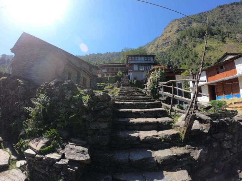 Pokhara: 7-Day Annapurna Base Camp & Jhinu Hot Springs Trek - Day 7: Final Stretch and Return to Pokhara