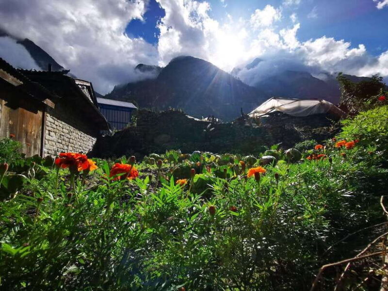 Pokhara : 7 - Day Annapurna Base Camp Trek with Hot Spring - The Experience from Others