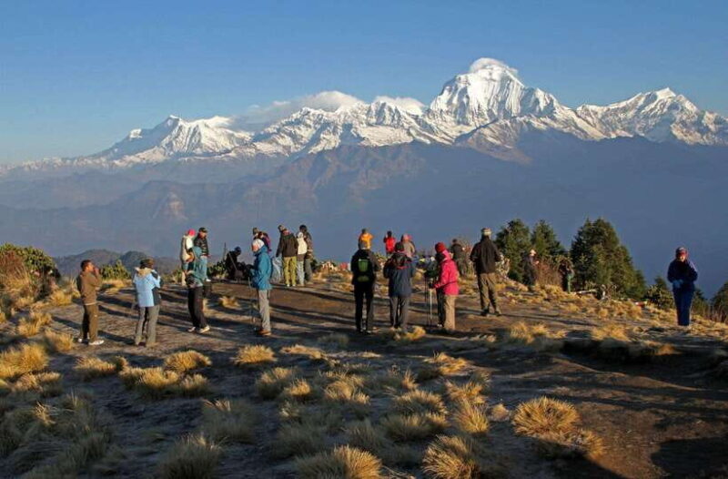 Pokhara : 7 - Day Annapurna Base Camp Trek with Hot Spring - The Sum Up: Who Is This Trek Best For?