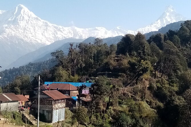 Pokhara: Annapurna Base Camp Trek Multi-Day Guided Tour - Cancellation Policy