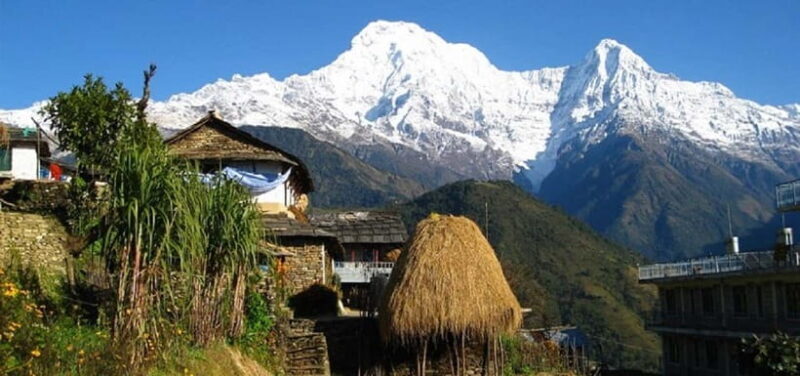 Pokhara: Annapurna Day Hike with Panoramic Views - Key Points