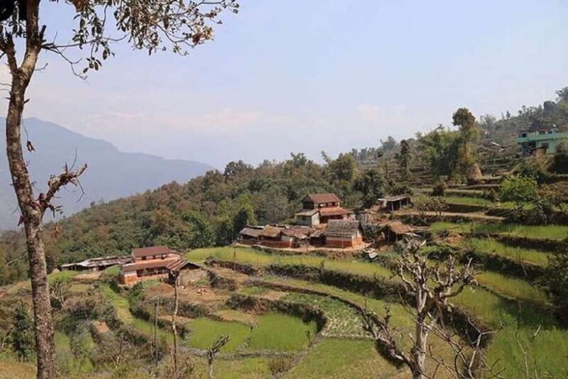 Pokhara: Annapurna Day Hike with Panoramic Views - The Value of the Experience