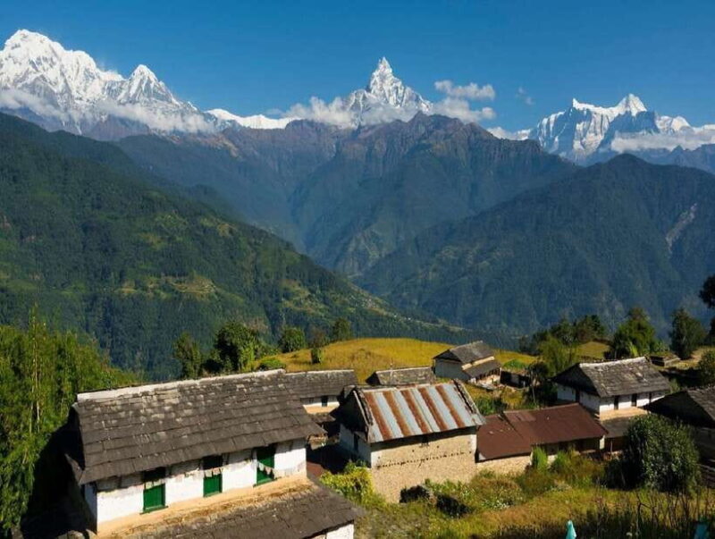 Pokhara: Annapurna Day Hike with Panoramic Views - Real Feedback from Past Travelers