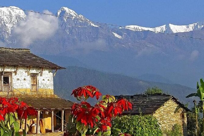 Pokhara: Dhampus Easy Trek for Families With Youngkids 2 Day Tour - Accommodation Details