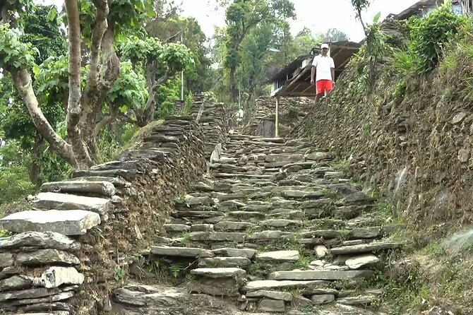 Pokhara: Dhampus Easy Trek for Families With Youngkids 2 Day Tour - Tips for Traveling With Kids