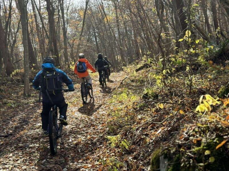 Pokhara: Enduro Mountain Biking Adventure with Lunch - An In-Depth Look at the Tour
