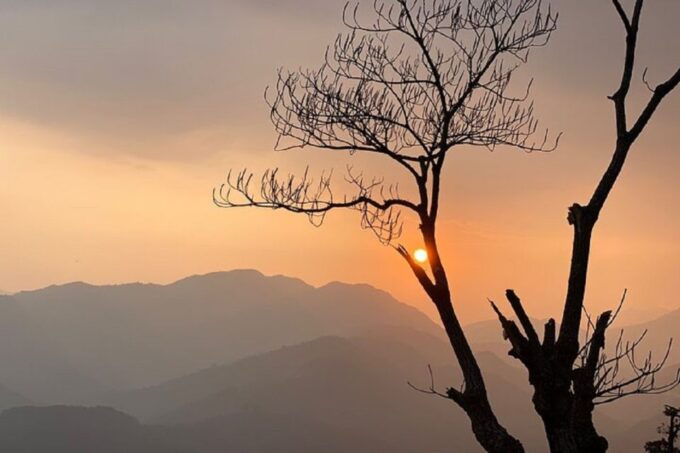 Pokhara: Guided Day Hike From Dampus To Australian Base Camp - Customer Feedback