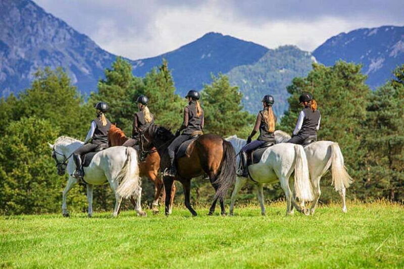 Pokhara: Horseback Riding Adventure with Hotel Pickup - Key Points