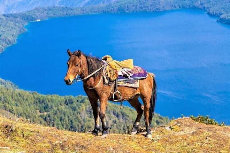Pokhara: Horseback Riding Adventure with Hotel Pickup - Experience and Feedback from Travelers