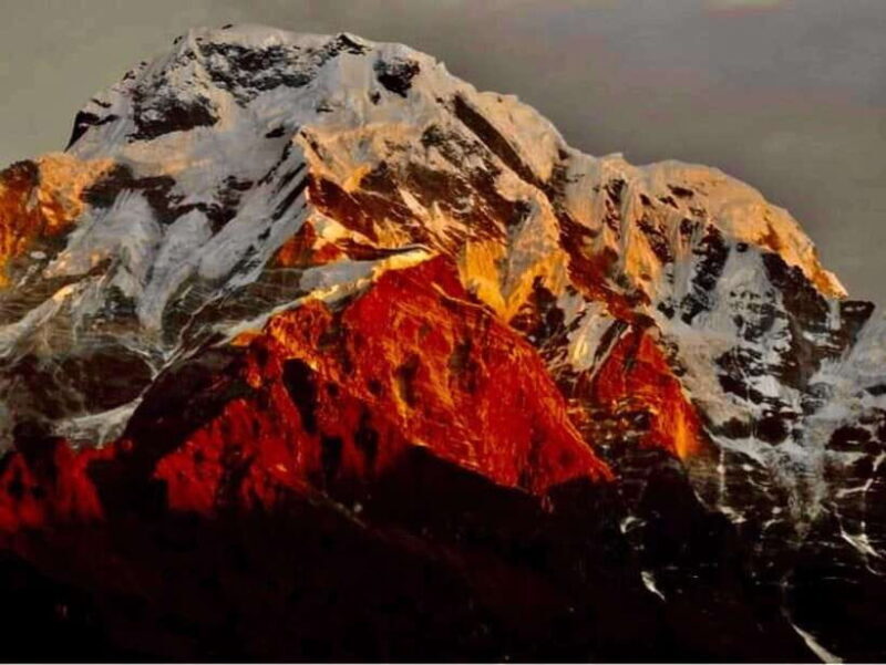Pokhara: Mardi Himal Trek with 1 Night in a Forest Camp - A Practical Guide to the Mardi Himal Trek