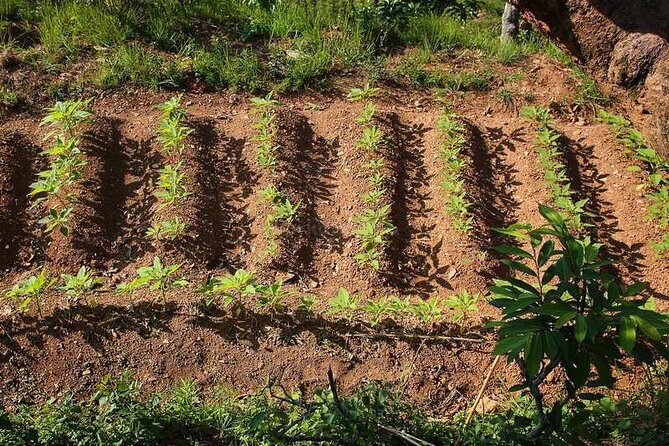 Pokhara: Organic Farm Tour and Cooking Class at Durku - Pickup and Meeting Points