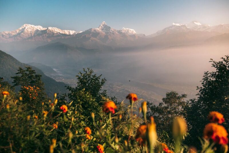 Pokhara: Peace Pagoda Sunset, Annapurna Mountain Views Tour - Customer Feedback