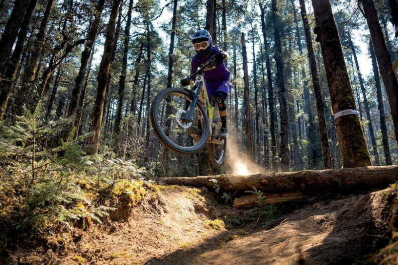Pokhara: Peace Pagoda to Pokhara Downhill Mountain Bike Ride - What’s Included and What You Should Consider