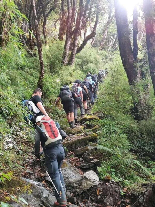 Pokhara: Time For Trekking to Mohare Hill & Poon Hill - An In-Depth Look at the Trekking Experience