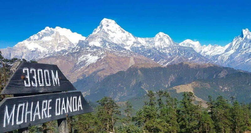 Pokhara: Time For Trekking to Mohare Hill & Poon Hill - Frequently Asked Questions