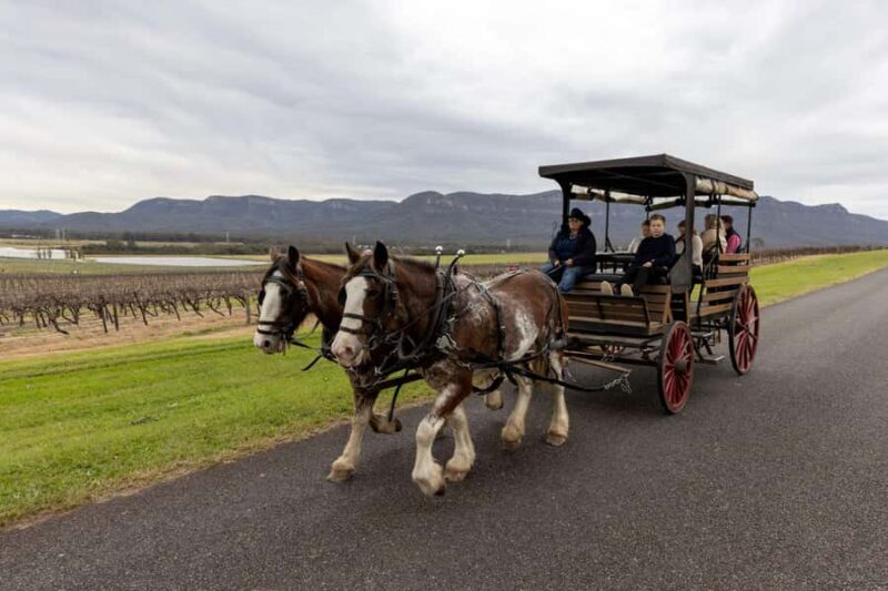 Pokolbin: Harvest the Hunter Horse Drawn Carriage Tour 3hrs - Key Points