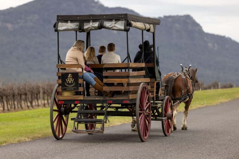 Pokolbin: Harvest the Hunter Horse Drawn Carriage Tour 3hrs - An In-Depth Look at the Tour Experience