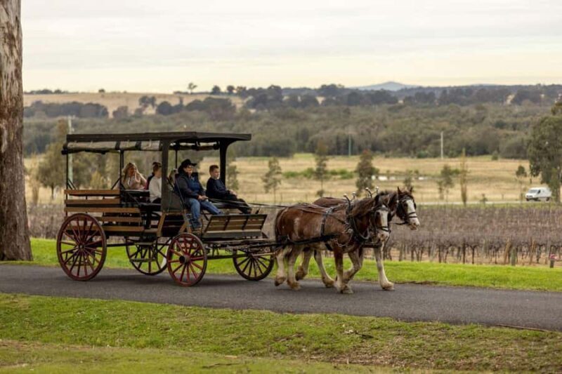 Pokolbin: Harvest the Hunter Horse Drawn Carriage Tour 3hrs - Final Thoughts