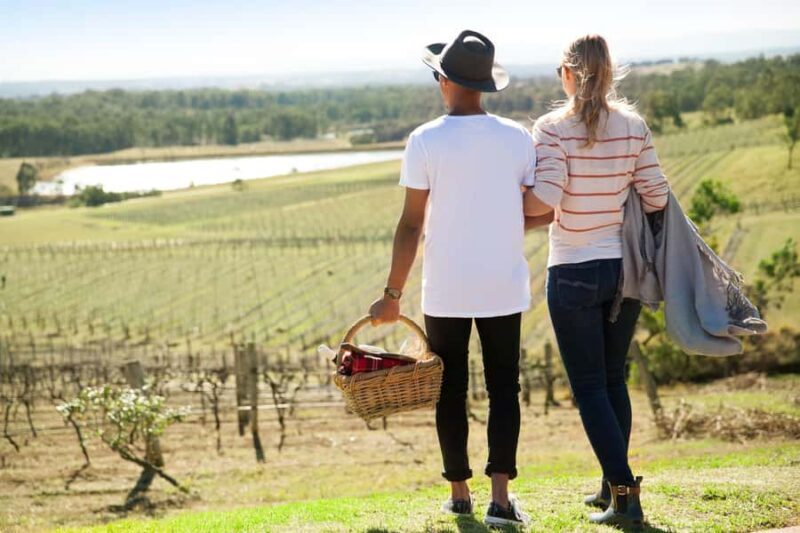 Pokolbin: Picnic & Wine Tasting at Audrey Wilkinson Vineyard - Key Points