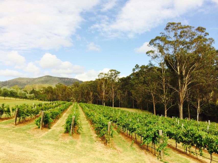 Pokolbin: Tulloch Hunter Heroes Wine Tasting & Cheese Board - Important Information
