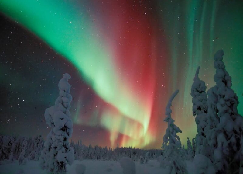 Polar Night Snowshoe Trek - An In-Depth Look at the Tour Experience