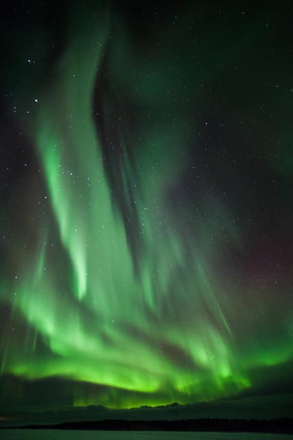 Polar Night Snowshoe Trek - The Sum Up