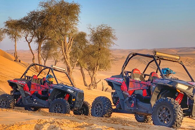 Polaris 1000 CC/2 Seater Dune Buggy Ride in Open Desert - Customer Feedback and Reviews