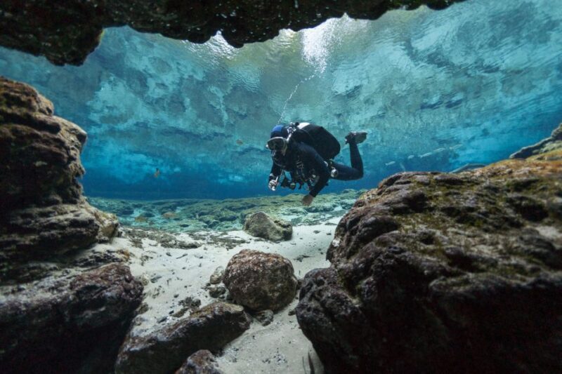 Polignano a Mare: Scuba Experience with certification - What to Expect from the Scuba Experience in Polignano a Mare