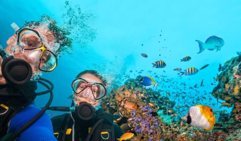 Polignano a Mare: Scuba Experience with certification - Visualizing the Experience