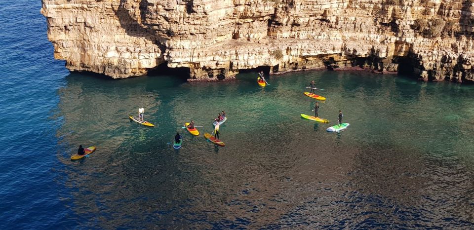 Polignano a Mare: Stand-Up Paddle Tour - Customer Reviews and Feedback