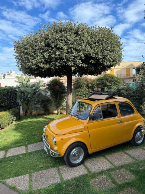 Polignano a Mare: Tour by Vintage Fiat 500 With Driver - Private Group Size