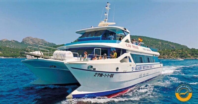 Pollença: Dolphin Watching Boat Excursion - Breakfast and Refreshments