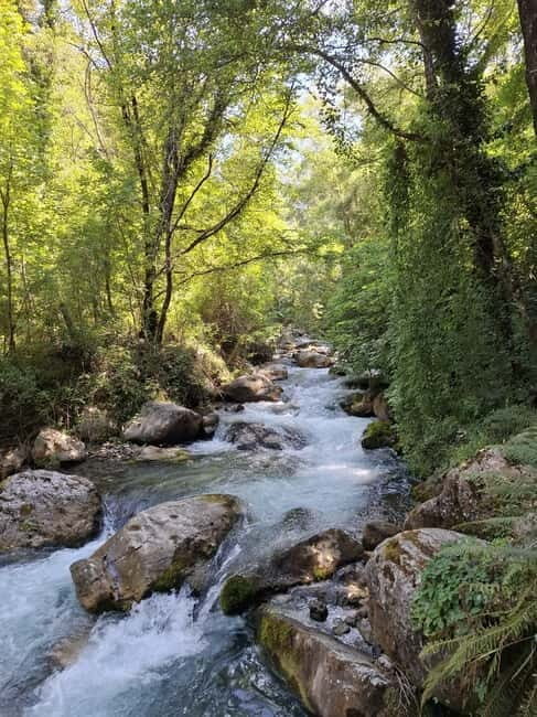 Pollino National Park: Trekking in the Argentino Nature Reserve - Key Points